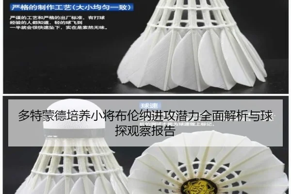 多特蒙德培养小将布伦纳进攻潜力全面解析与球探观察报告